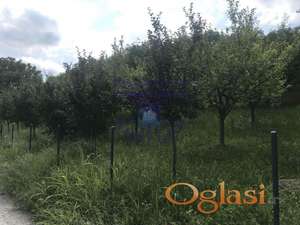 Odlican plac u Sremskoj Kamenici